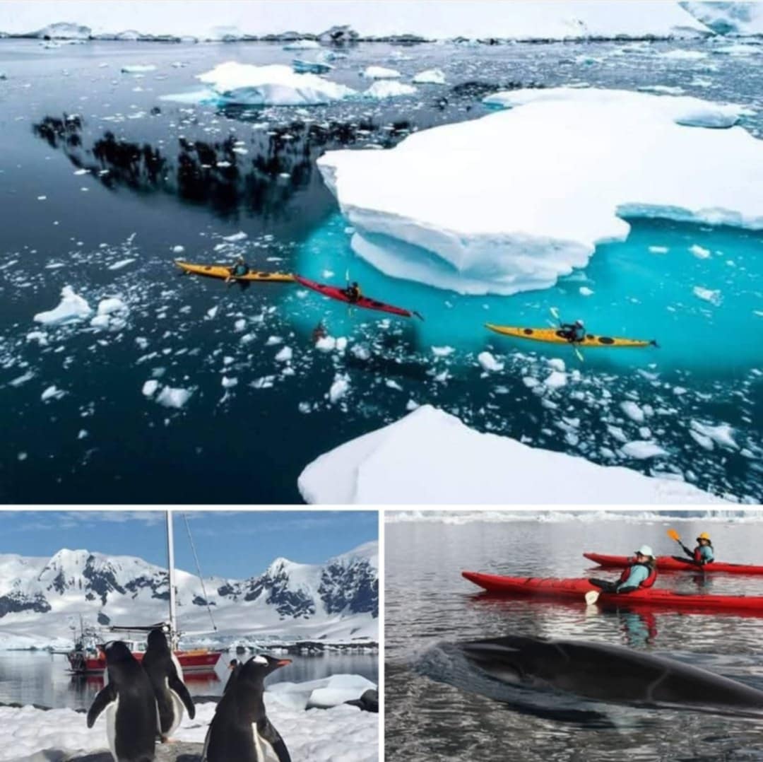 Sea kayaking expedition in Antarctica